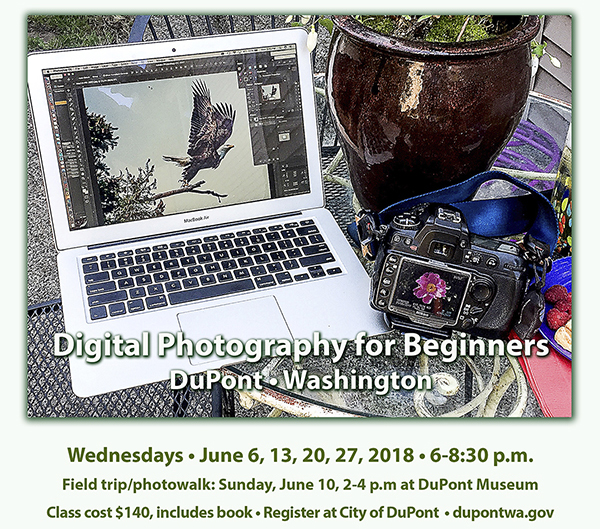 digitalphotoclass0618_web.jpg