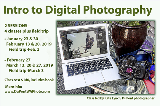 photoclassad_3x4.5janfeb2019_web.jpg