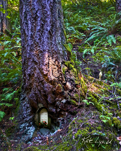 treedoor_web.jpg
