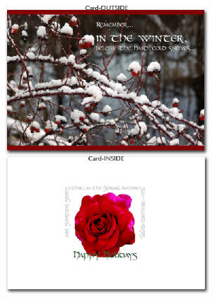 rosecardweb.jpg